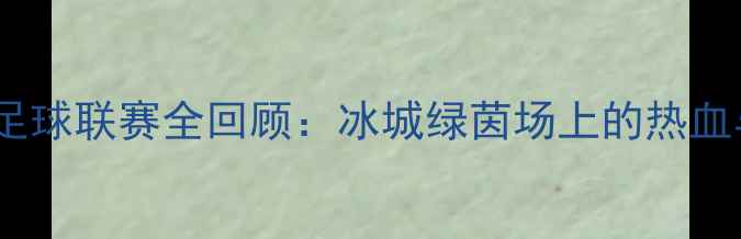 图片 哈尔滨足球联赛全回顾：冰城绿茵场上的热血与荣耀1