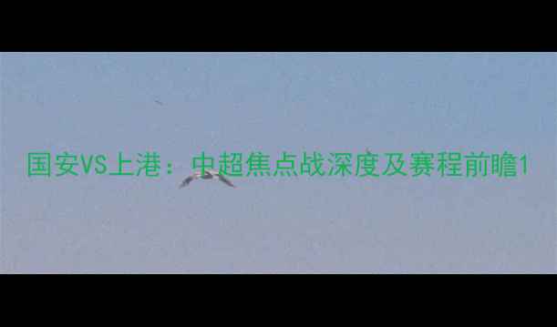 图片 国安VS上港：中超焦点战深度及赛程前瞻1