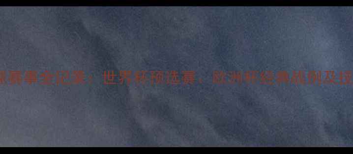 图片 国际足球赛事全记录：世界杯预选赛、欧洲杯经典战例及技术分析2