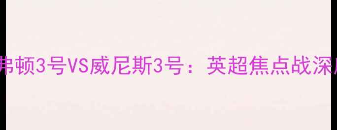 图片 埃弗顿3号VS威尼斯3号：英超焦点战深度2