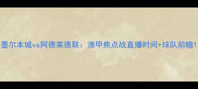 图片 墨尔本城vs阿德莱德联：澳甲焦点战直播时间+球队前瞻1
