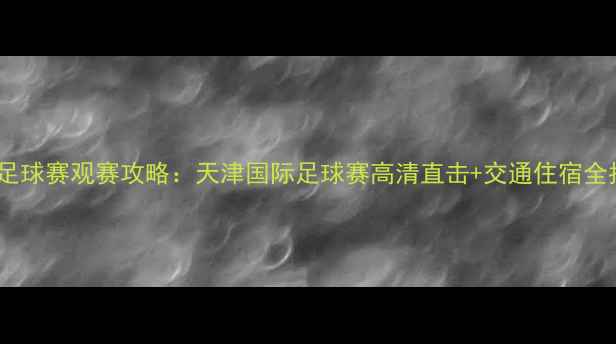图片 天津足球赛观赛攻略：天津国际足球赛高清直击+交通住宿全指南2