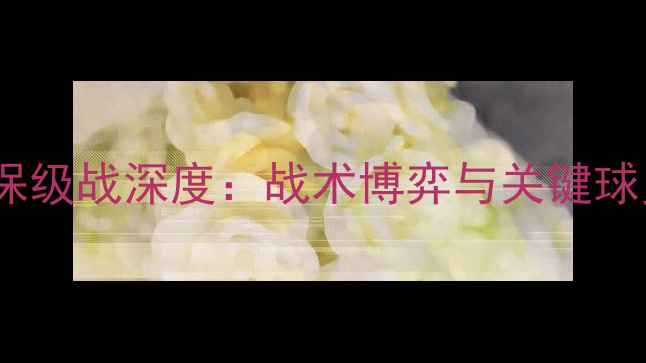 图片 奥尔良vs南锡保级战深度：战术博弈与关键球员对决全复盘1