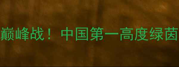 图片 姚明跨界足球巅峰战！中国第一高度绿茵场传奇全记录