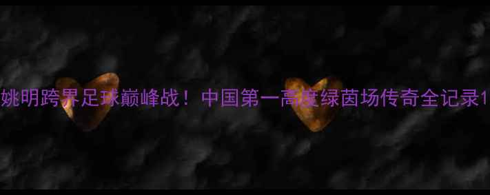 图片 姚明跨界足球巅峰战！中国第一高度绿茵场传奇全记录1