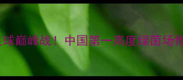 图片 姚明跨界足球巅峰战！中国第一高度绿茵场传奇全记录2
