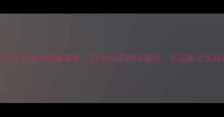 图片 安徽匹克杯足球赛圆满落幕：百支队伍同场竞技，见证皖北足球新高度