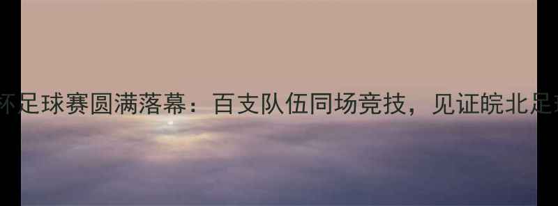 图片 安徽匹克杯足球赛圆满落幕：百支队伍同场竞技，见证皖北足球新高度2