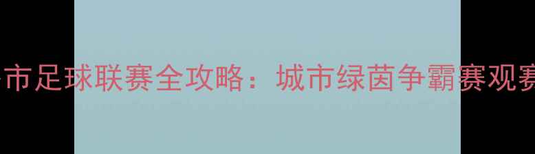 图片 山东各市足球联赛全攻略：城市绿茵争霸赛观赛指南2