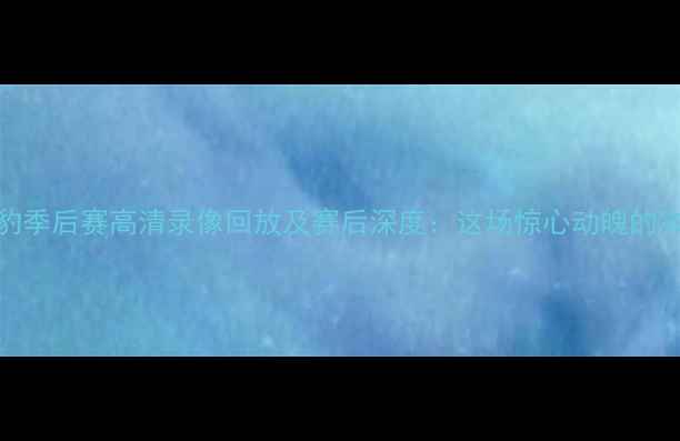 图片 山东泰山vs新疆天山雪豹季后赛高清录像回放及赛后深度：这场惊心动魄的决赛如何改写中超格局？