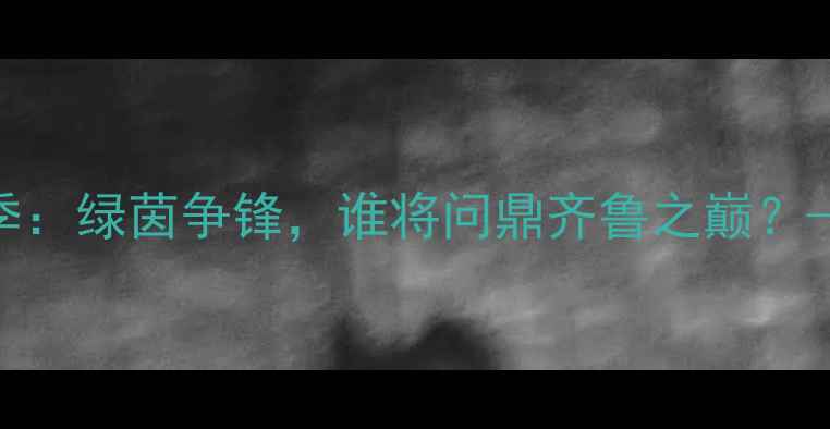 图片 山东省足球超级联赛赛季：绿茵争锋，谁将问鼎齐鲁之巅？——山东足球赛事全攻略