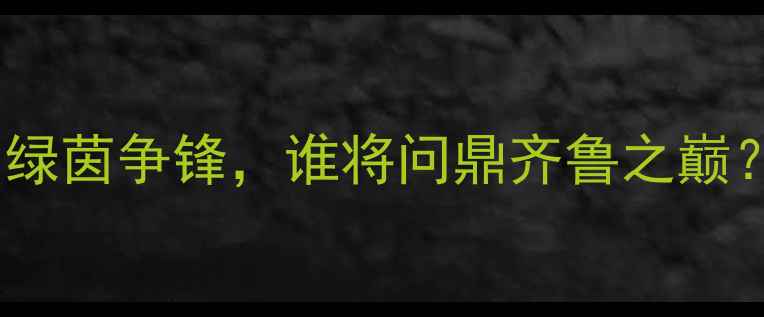 图片 山东省足球超级联赛赛季：绿茵争锋，谁将问鼎齐鲁之巅？——山东足球赛事全攻略1