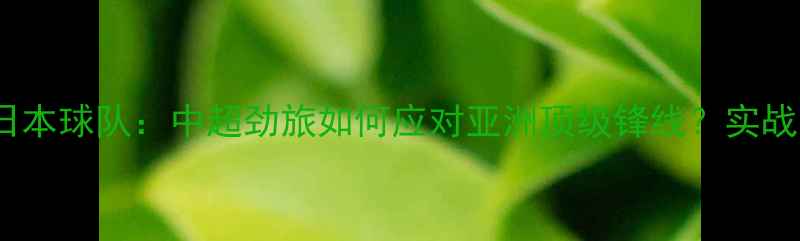 图片 山东鲁能vs日本球队：中超劲旅如何应对亚洲顶级锋线？实战与战术预判1