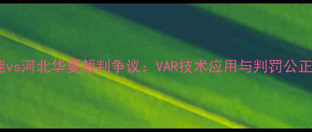 图片 山东鲁能vs河北华夏裁判争议：VAR技术应用与判罚公正性深度1