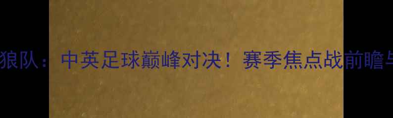 图片 山东鲁能vs狼队：中英足球巅峰对决！赛季焦点战前瞻与数据分析2