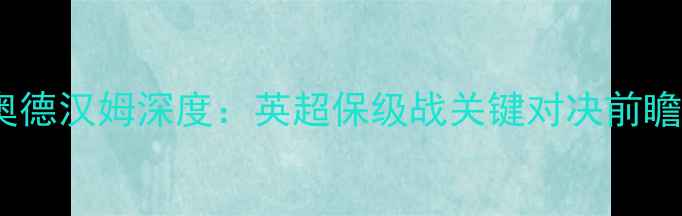图片 巴恩斯利vs奥德汉姆深度：英超保级战关键对决前瞻与战术预测1