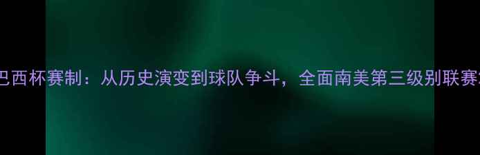 图片 巴西杯赛制：从历史演变到球队争斗，全面南美第三级别联赛2