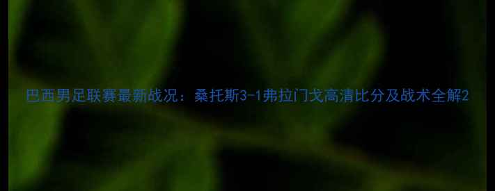 图片 巴西男足联赛最新战况：桑托斯3-1弗拉门戈高清比分及战术全解2