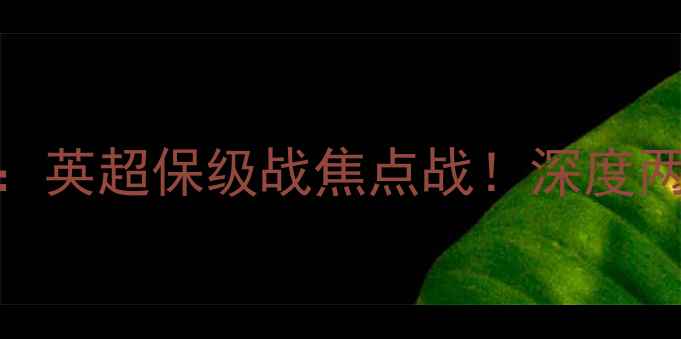图片 布莱克普vs雷丁：英超保级战焦点战！深度两队赛季关键博弈