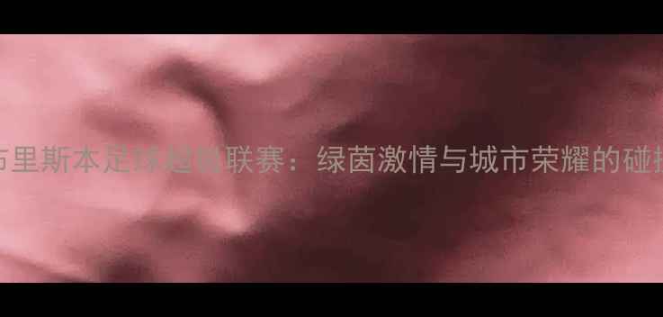 图片 布里斯本足球超级联赛：绿茵激情与城市荣耀的碰撞