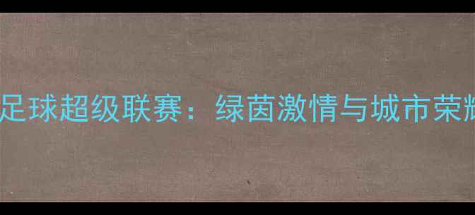图片 布里斯本足球超级联赛：绿茵激情与城市荣耀的碰撞1