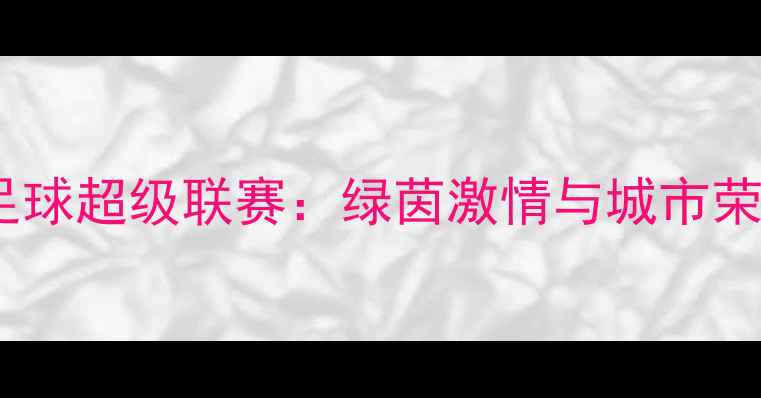 图片 布里斯本足球超级联赛：绿茵激情与城市荣耀的碰撞2