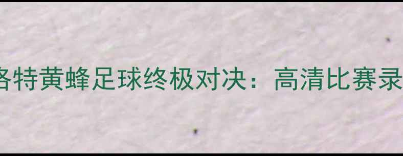 图片 布鲁克林篮网vs夏洛特黄蜂足球终极对决：高清比赛录像回放与战术深度1
