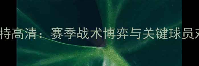 图片 布鲁日vs泽尼特高清：赛季战术博弈与关键球员对决深度分析1