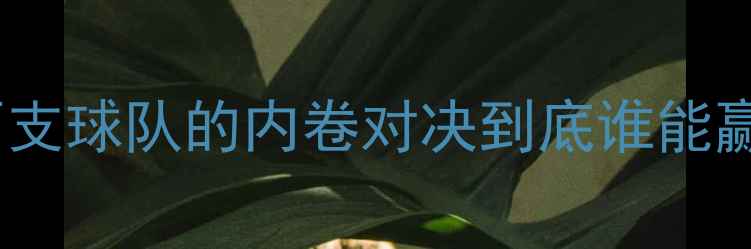 图片 广东VS辽宁深度！这两支球队的内卷对决到底谁能赢？附赛程+阵容+数据2