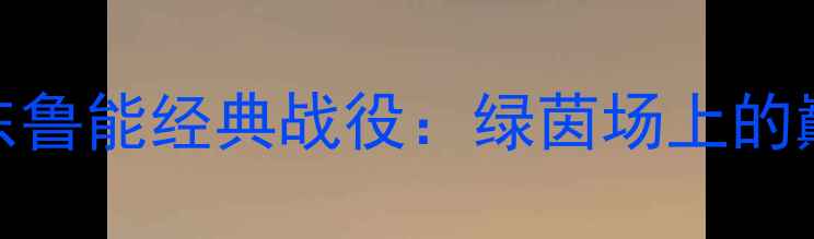 图片 广东队vs山东鲁能经典战役：绿茵场上的巅峰对决回顾