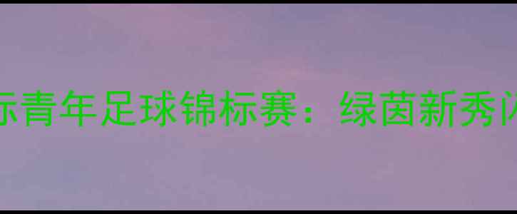 图片 广州国际青年足球锦标赛：绿茵新秀闪耀羊城