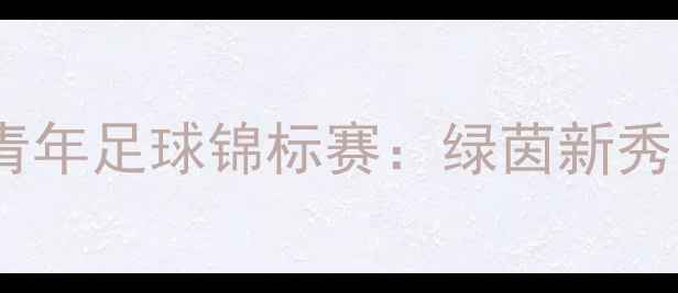 图片 广州国际青年足球锦标赛：绿茵新秀闪耀羊城1