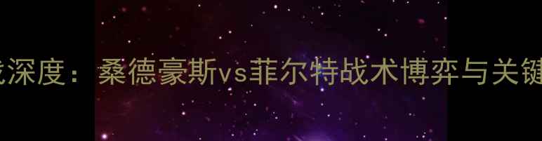 图片 德乙保级战深度：桑德豪斯vs菲尔特战术博弈与关键战役前瞻2