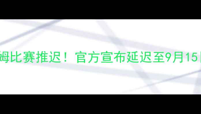 图片 德乙联赛菲尔特vs海登海姆比赛推迟！官方宣布延迟至9月15日，赛事背景及影响分析1