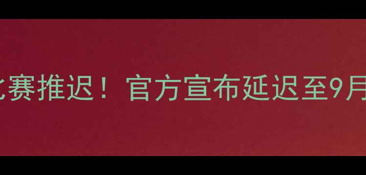 图片 德乙联赛菲尔特vs海登海姆比赛推迟！官方宣布延迟至9月15日，赛事背景及影响分析2