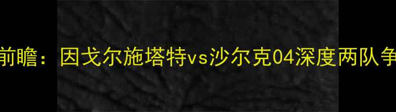 图片 德甲焦点战前瞻：因戈尔施塔特vs沙尔克04深度两队争冠关键战役