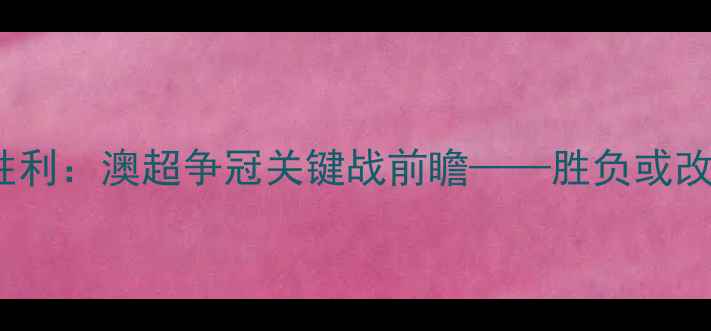 图片 悉尼FCvs墨胜利：澳超争冠关键战前瞻——胜负或改写赛季格局1