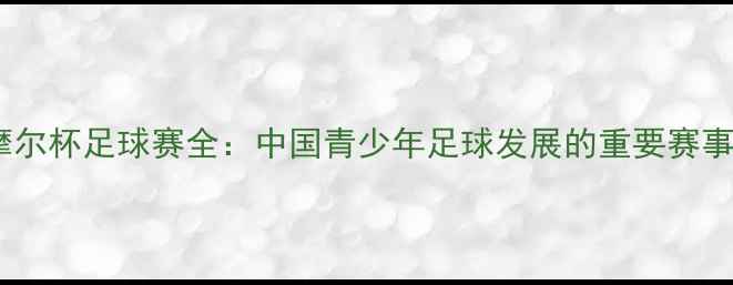图片 摩尔杯足球赛全：中国青少年足球发展的重要赛事2