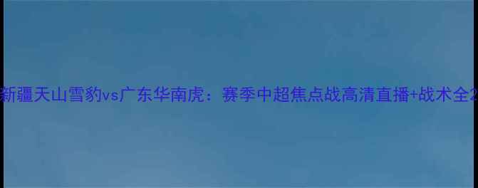 图片 新疆天山雪豹vs广东华南虎：赛季中超焦点战高清直播+战术全2