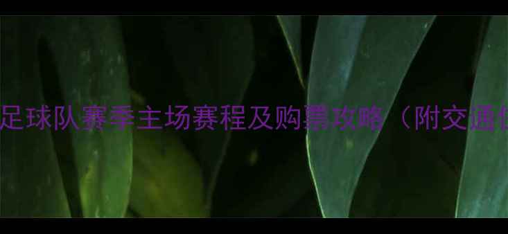图片 新疆天山雪豹足球队赛季主场赛程及购票攻略（附交通住宿全指南）1