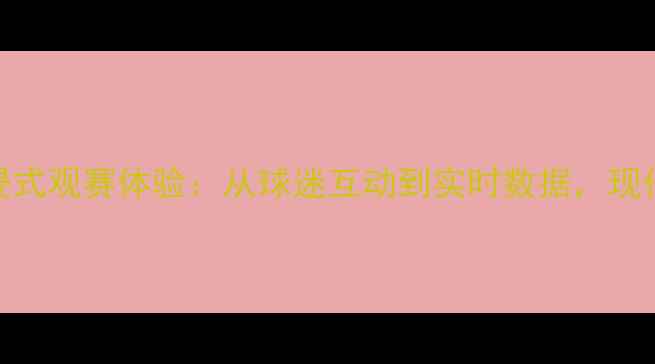 图片 无解说足球赛沉浸式观赛体验：从球迷互动到实时数据，现代足球赛事新趋势