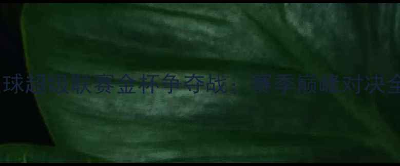 图片 无锡足球超级联赛金杯争夺战：赛季巅峰对决全纪录1