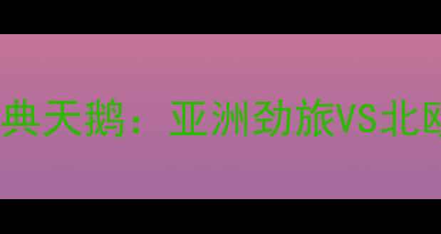 图片 日本山形山神VS瑞典天鹅：亚洲劲旅VS北欧豪强的世纪对决1