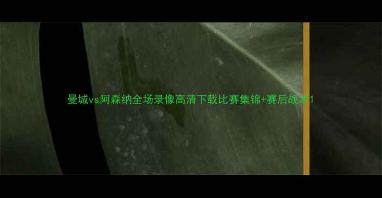 图片 曼城vs阿森纳全场录像高清下载比赛集锦+赛后战术1