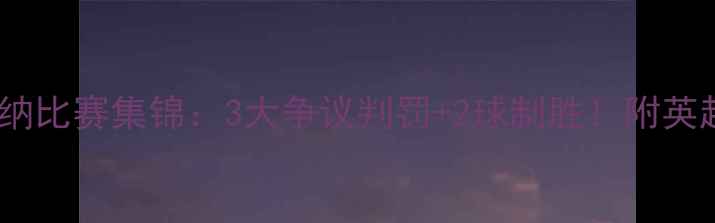 图片 曼城vs阿森纳比赛集锦：3大争议判罚+2球制胜！附英超观赛攻略2