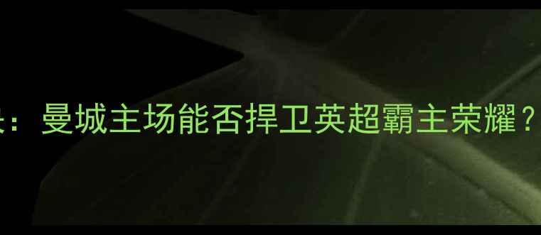 图片 曼城vs马竞季后赛对决：曼城主场能否捍卫英超霸主荣耀？深度比分预测与战术1