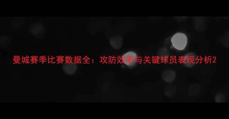 图片 曼城赛季比赛数据全：攻防效率与关键球员表现分析2