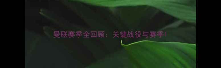 图片 曼联赛季全回顾：关键战役与赛季1