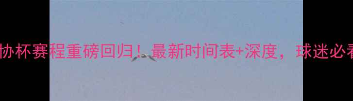 图片 权健足协杯赛程重磅回归！最新时间表+深度，球迷必看指南2