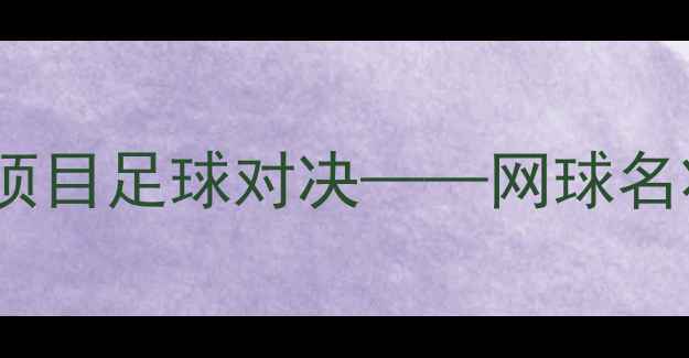 图片 李娜VS菲利普·肯斯：跨项目足球对决——网球名将VS荷兰铁卫的战术博弈1